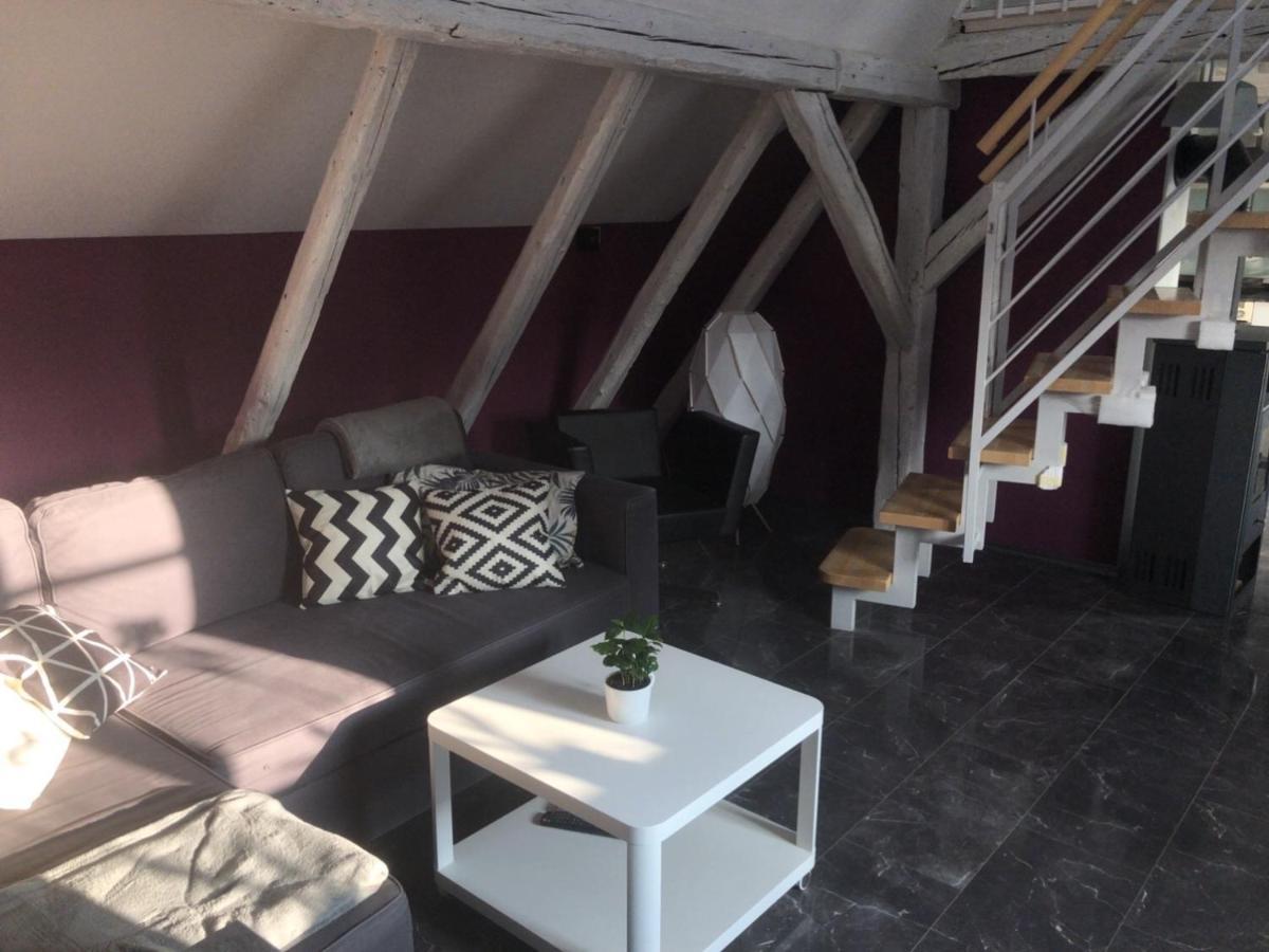 Dachgeschosswohnung-15Min Vom Europa Park Entfernt Kenzingen Extérieur photo