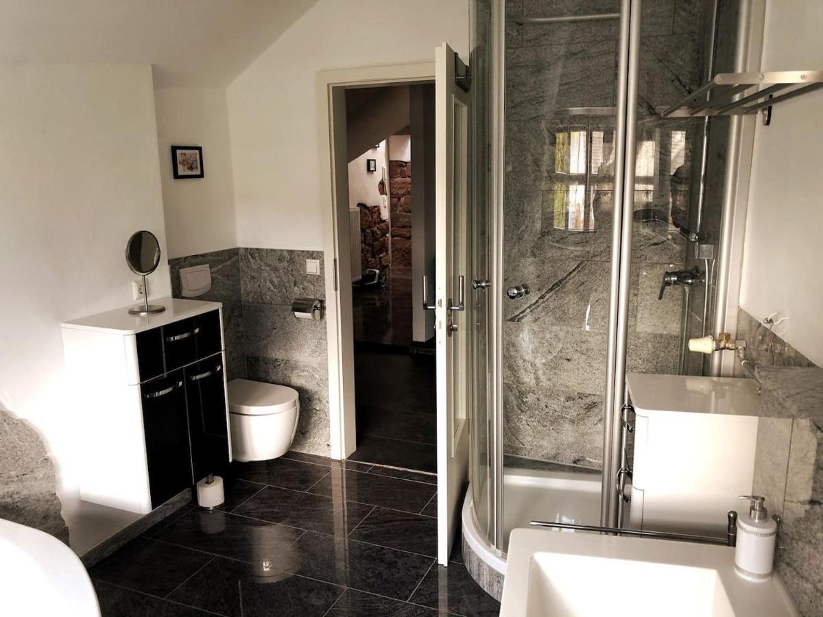 Dachgeschosswohnung-15Min Vom Europa Park Entfernt Kenzingen Extérieur photo