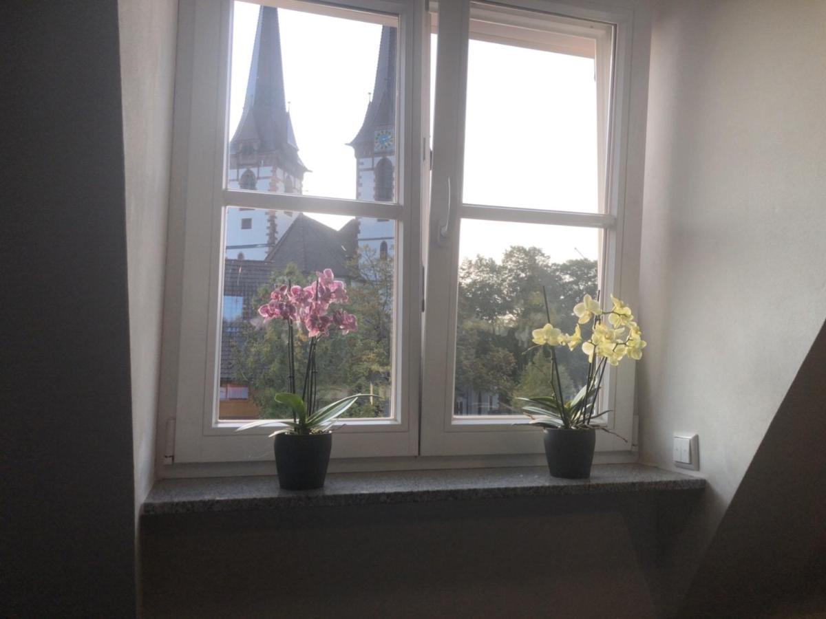 Dachgeschosswohnung-15Min Vom Europa Park Entfernt Kenzingen Extérieur photo