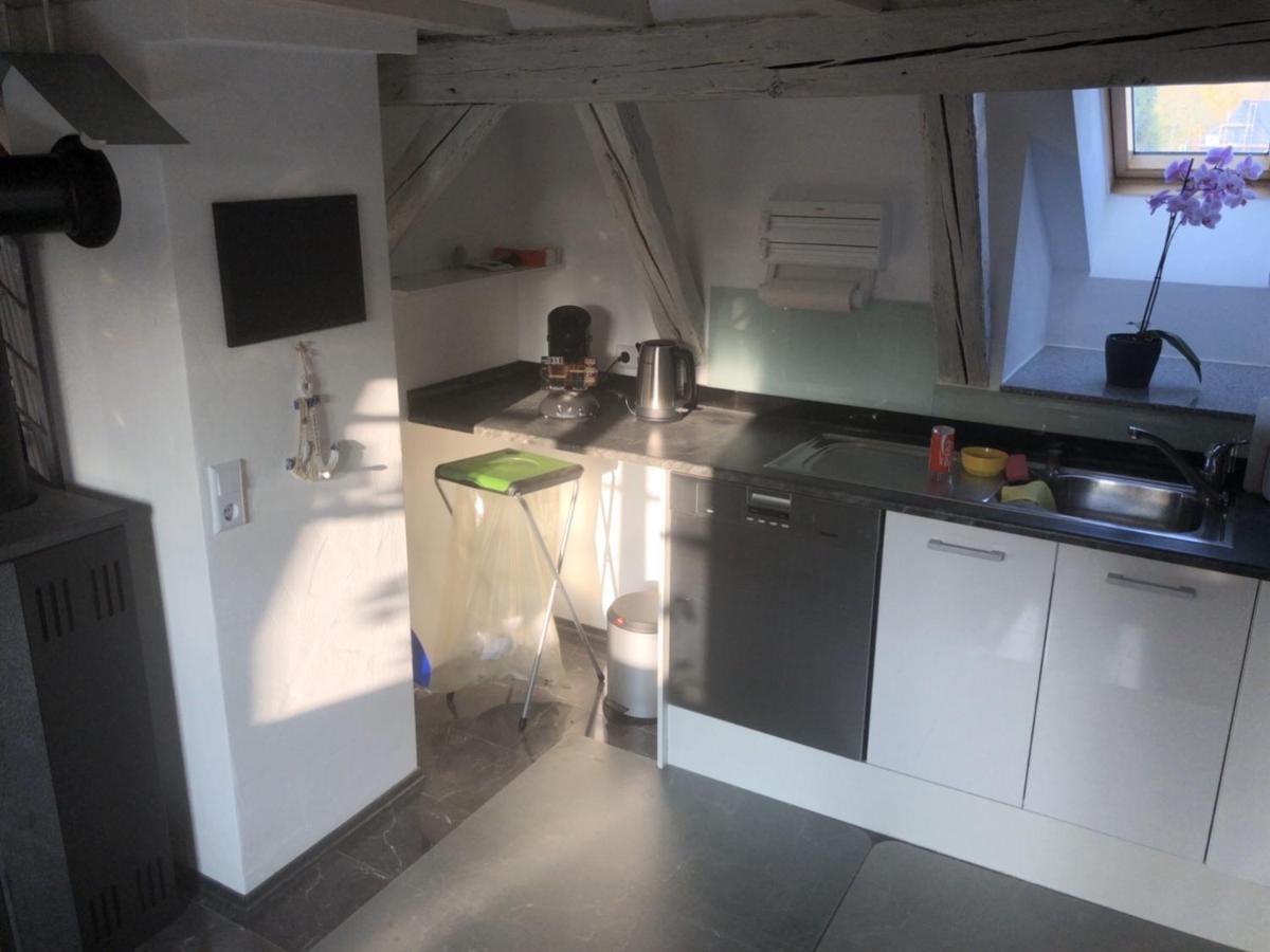 Dachgeschosswohnung-15Min Vom Europa Park Entfernt Kenzingen Extérieur photo