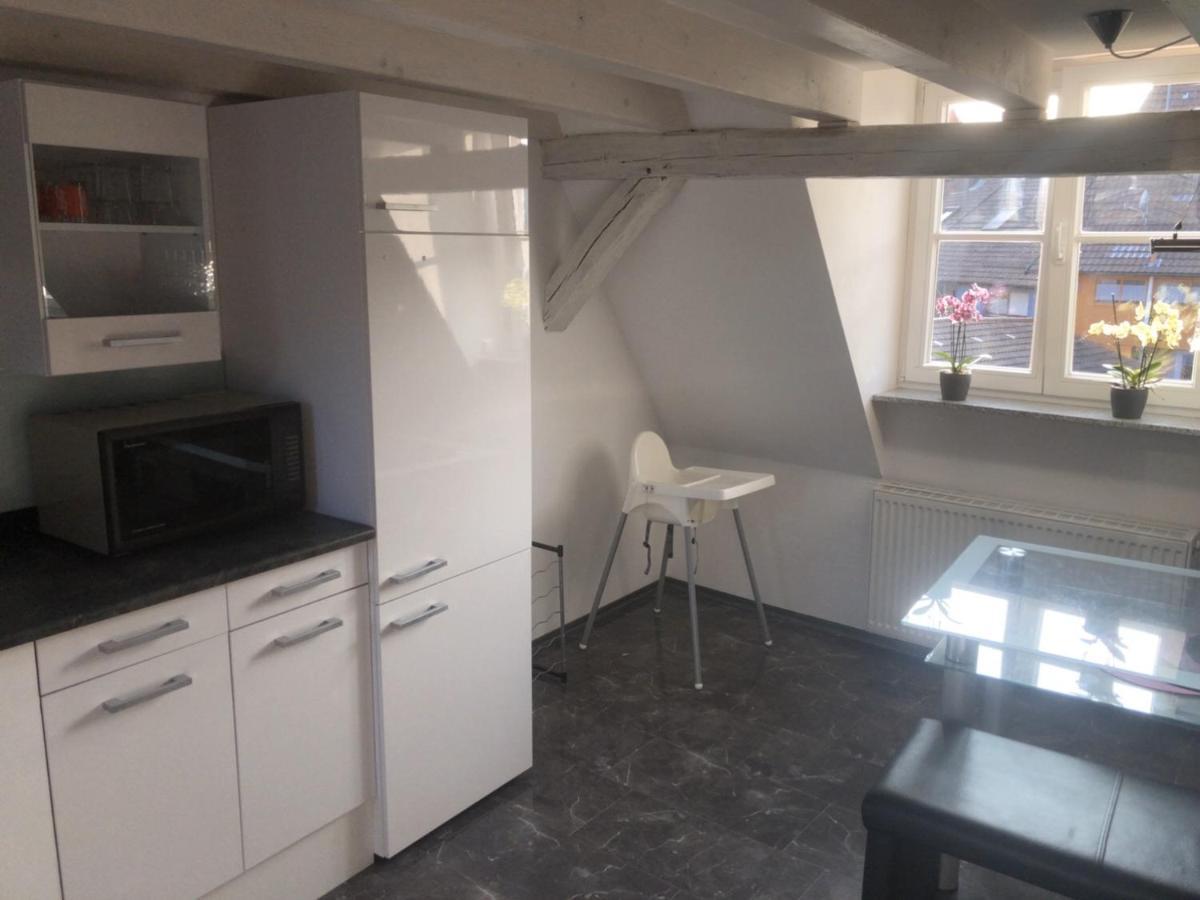 Dachgeschosswohnung-15Min Vom Europa Park Entfernt Kenzingen Extérieur photo